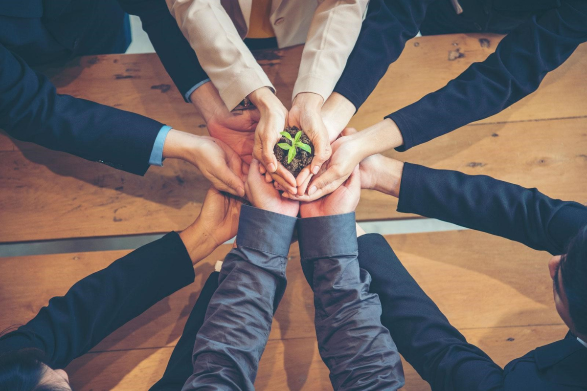 Beyond Profit: The Critical Role of CSR in Energy and Environmental Stewardship